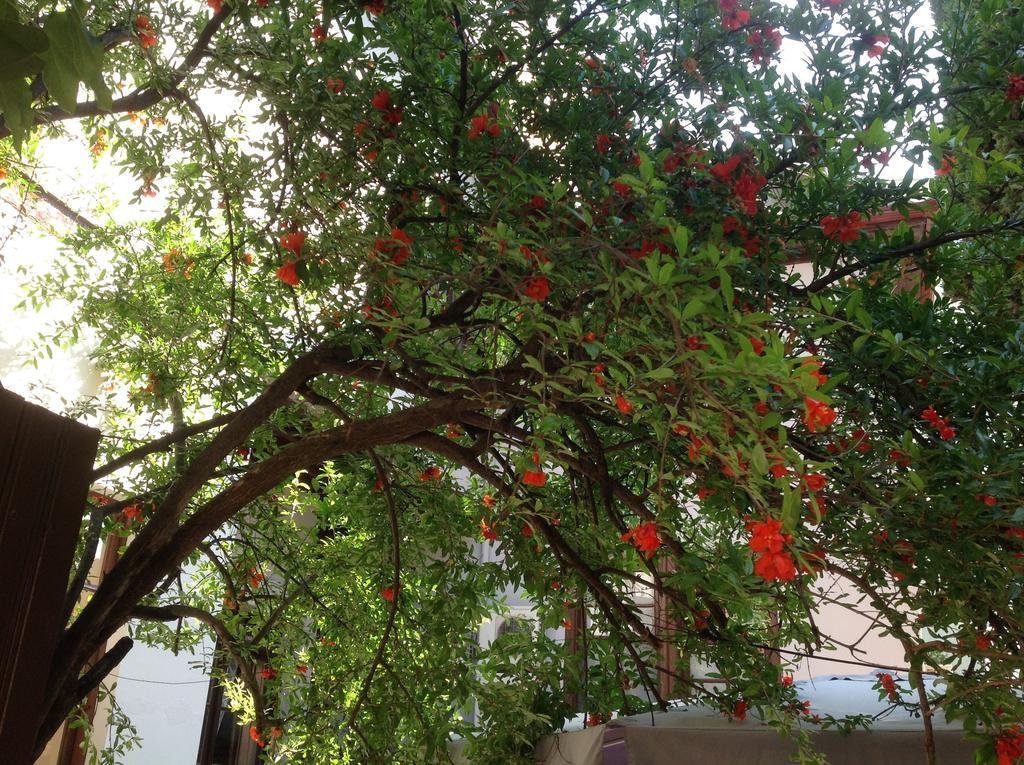 Kaleiçi